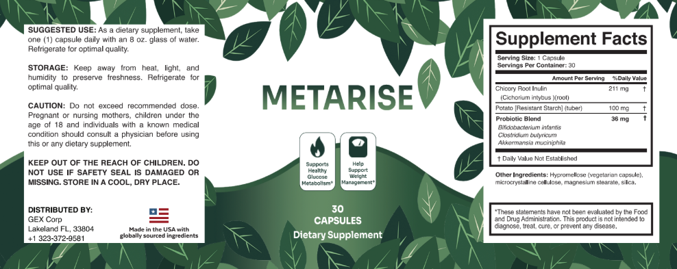MetaRise Lebel